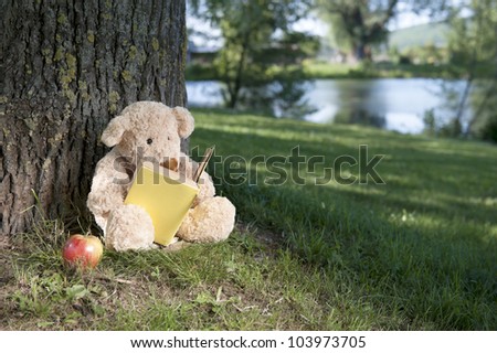 Teddy Reading Book