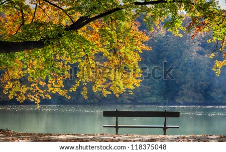 autumn view of lake , trees and bench