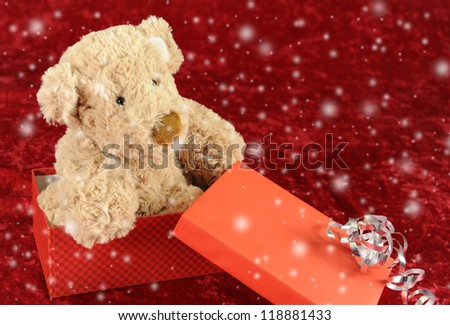 Teddy bear in gift box on red background