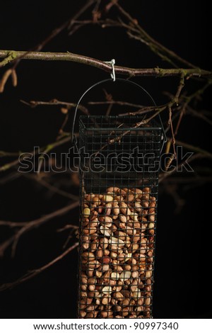 recipient with bird food hanging in a tree. On dark background