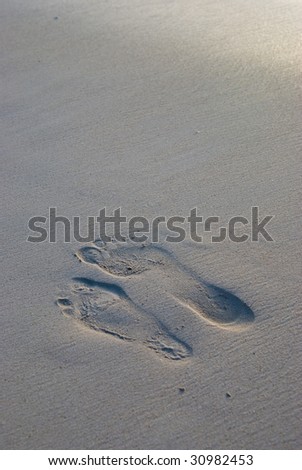 True love. Lover\'s footprints side by side after getting married