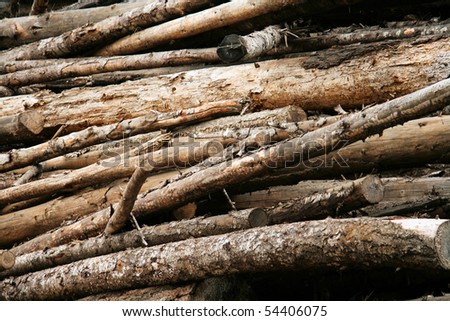 Old Log Pile