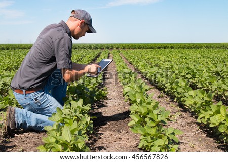Agronomist Using a Tablet in an Agriculture Field