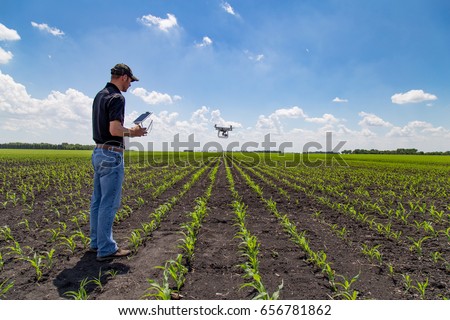 Agronomist Using Technology in Agricultural Corn Field