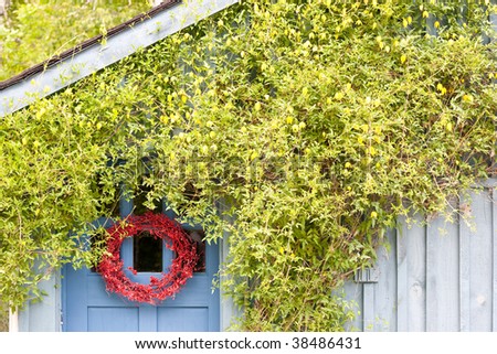 Portion of a cottage door decorated with a red wreath, surrounded by a climbing flowering vine.