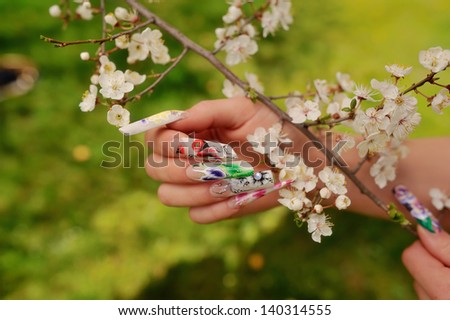 against the background of flowering branches of women\'s hands with a nice manicure different picture