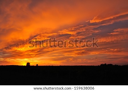 evening sunset and the red sun on the horizon in the autumn
