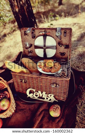 autumn still life in the woods picnic basket with fruit and bread