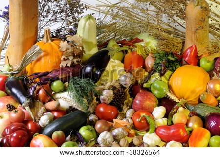 bio fruits and vegetables