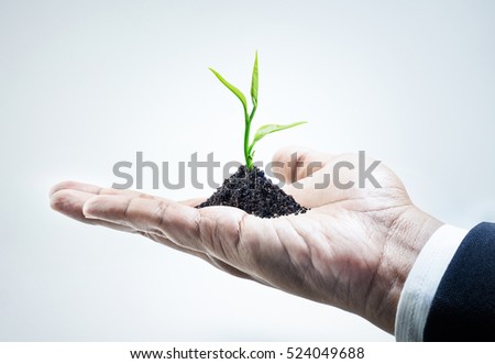 Plant  tree growing on businessman hand.business investment financial growth concept ideas