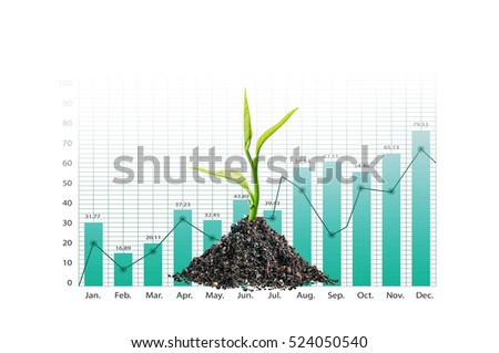 Beautiful plant with growing graph chart on white background.business investment financial growth concept
