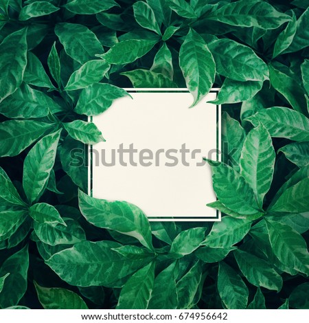 White space with green leaves background design with white paper.Flat lay.Top view of leaf.Nature concepts
