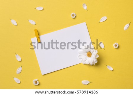 Spring or summer background with copy space for text: blank stationary template / invitation mockup with clothespin, chamomiles and petals, white flower with yellow heart. Top view. Flat lay.