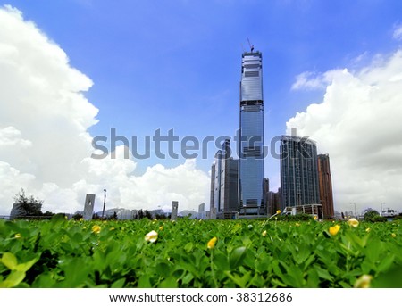 Group of Contemporary City Skyscraper in Hong Kong. Green grass meadow with daisy in foreground.