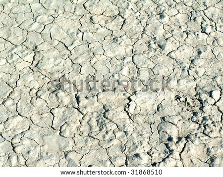 Cracked earth in Ischigualasto National Park, Argentina