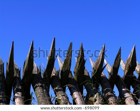 palisade fence made from poles