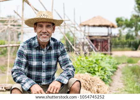 Portrait happy mature man is smiling. Senior farmer with white beard feeling confident. Elderly asian man sitting in a shirt and looking at camera at field in sunny day.
