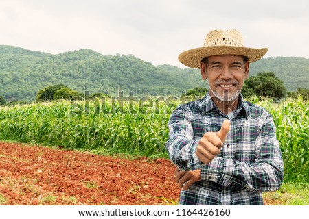 Portrait happy mature older man is smiling. Old senior farmer with white beard thumb up feeling confident. Elderly asian man standing in a shirt and looking at camera at corn field in sunny day.