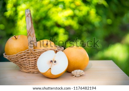 Snow pear or Fengsui pear on the brown wooden table in garden,Fresh Korea pear fruit. Korea pear fresh fruit in the basket  on natural farm background