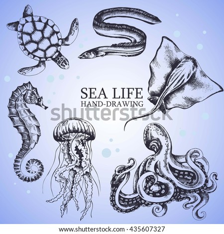 set handmade sketches sea animals isolated on white background. Underwater life, stingray, octopus, seahorse, turtle, eel, jellyfish - Stock Vector
