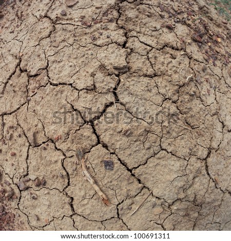 The background of the dry cracked earth