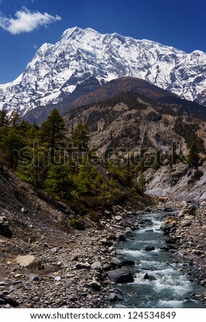 Mountain landscape, mountain river on the background of high snowy mountains