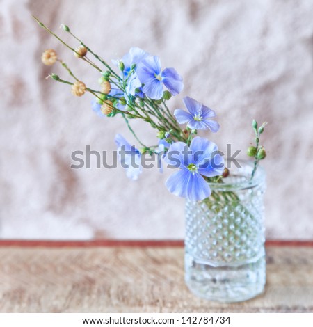 Sprigs of flax with flowers in a vase