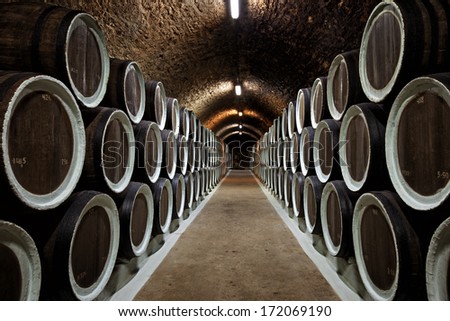Warehoused barrels in the wine cellar