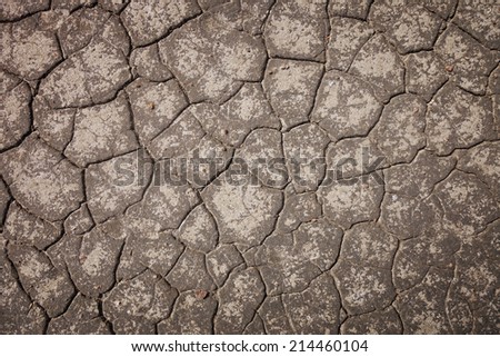 The background of the dry cracked earth