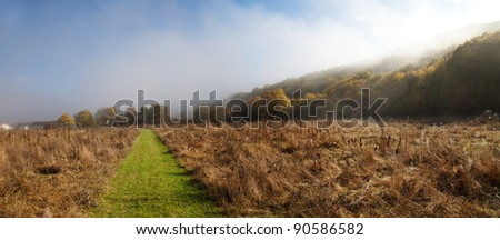 Autumn Landscape. The road into a field and woods in the distance