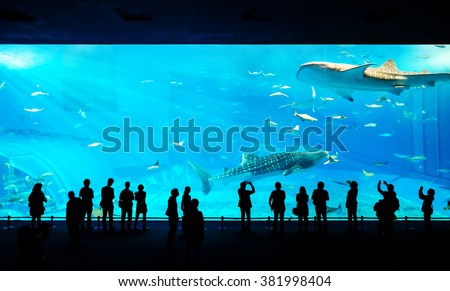 Silhouettes of people and giant whale shark of fantasy underwater with dramatic light ray in Oceanarium