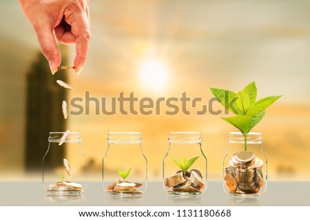 Investor hand hold and drop a gold coin in the bottle and plant growing with savings money on photo blur cityscape on sunlight background, Business investment and saving money concept.