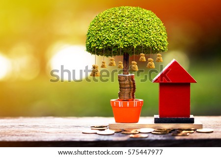 A red home model and stacking gold coins and money bag tree with growing in the public park, a saving for real estate owner in the future and richness concept.