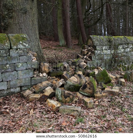 The Daily Rave - Page 3 Stock-photo-an-old-dry-stone-wall-that-has-collapsed-and-requires-repair-50862616