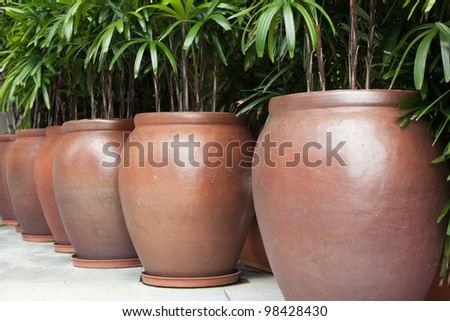 Big, shiny ceramic plant pots with lush green plants in them