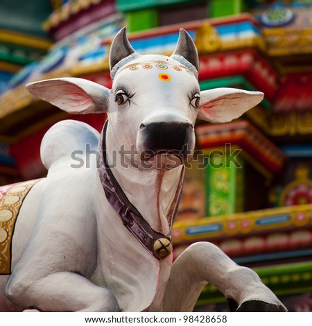 Sacred Hindu Cow