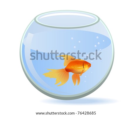 Round Goldfish