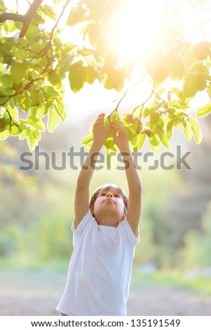 Happy kid outdoors in nature having good time picking the tree (retro style sunset time)