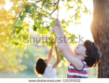 Happy kid outdoors in nature having good time picking the tree (retro style sunset time)
