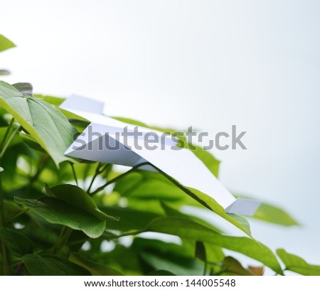 Paper airplane on leaves