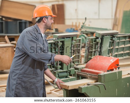 Workers in industrial cutting wood factory