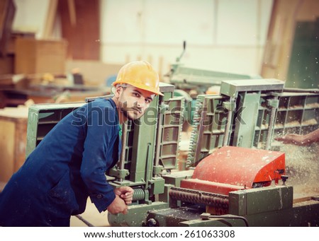 Workers in industrial wood factory