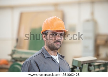 Workers in industrial wood factory