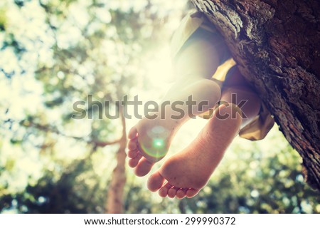 Sitting on the tree, freedom, feet