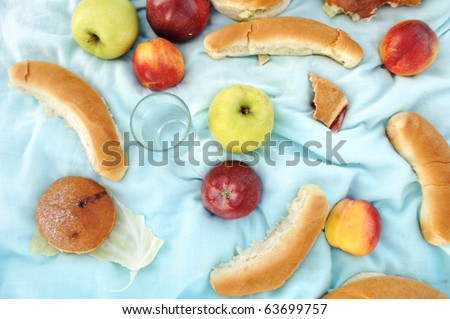 Healthy organic food on picnic fabric outdoor: water, apple, bread