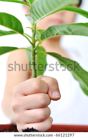 child, hand with green plant isolated on white, green concept