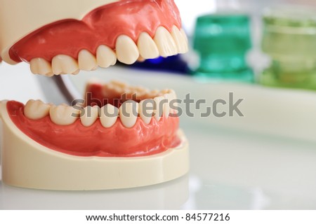 Dental Jaw