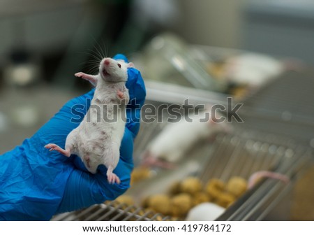 Vaccine test on laboratory mouse Lab rats