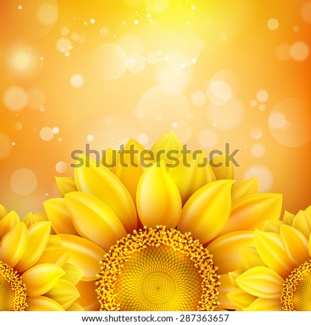 Macro SunFlower Background with bokeh. EPS 10 vector file included