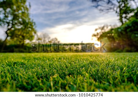 Sunset view of a large, well maintained large garden seen in early summer, showing the distant sun about to set, producing a warm light just before dusk. The grass has recently been cut.